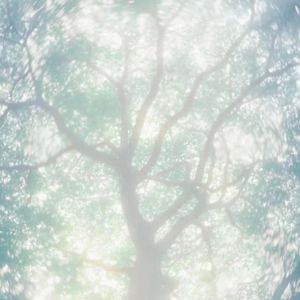 女人裸体性美女性交
